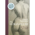The Human Figure (Dover Anatomy for Artists)