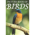 Picture Book of Birds: For Seniors with Dementia [Colorful Picture Books]
