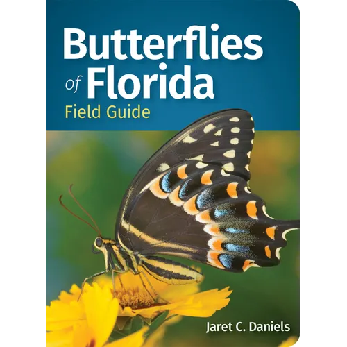 Butterflies of Florida Field Guide