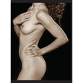 pose: a life drawing reference