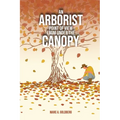 An Arborist Point Of View From Under The Canopy