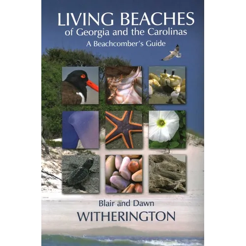 Living Beaches of Georgia and the Carolinas: A Beachcomber's Guide