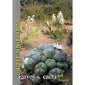 Permaculture Plants: agaves and cacti
