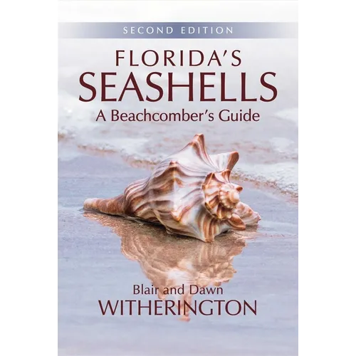 Florida's Seashells: A Beachcomber's Guide