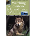 Watching Yellowstone & Grand Teton Wildlife