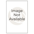Lincoln's Secretary: A Biography of John G. Nicolay