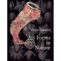 Art Forms in Nature: The Prints of Ernst Haeckel