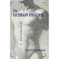 The Human Figure
