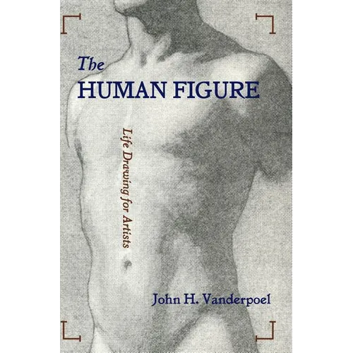 The Human Figure