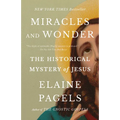 Miracles and Wonder: The Historical Mystery of Jesus