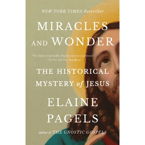 Miracles and Wonder: The Historical Mystery of Jesus