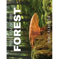 The Calm of the Forest 2026 Calendar