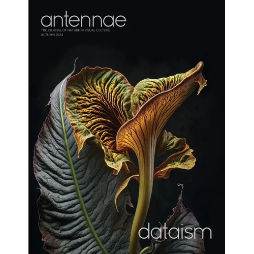 Antennae #65 Dataism