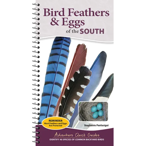 Bird Feathers & Eggs of the South: Identify 40 Species of Common Backyard Birds