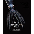 The Radiant Sea: Color and Light in the Underwater World