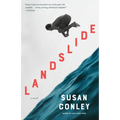 Landslide