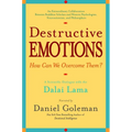 Destructive Emotions: A Scientific Dialogue with the Dalai Lama
