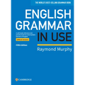 English Grammar in Use Book Without Answers: A Self-Study Reference and Practice Book for Intermediate Learners of English