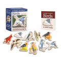 Extremely Accurate Birds Wooden Magnet Set: 10 Anatomically Precise Magnets