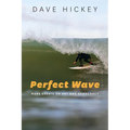 Perfect Wave: More Essays on Art and Democracy