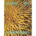 Sharif Bey: Homecoming