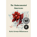 The Undocumented Americans