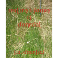 Real Irish Fairies of Donegal: Just Because You Don't Believe In Fairies Doesn't Mean They Don't Exist