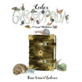 Codex Gastropoda: A Visual Meditation