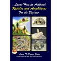 Learn How to Airbrush Reptiles and Amphibians For the Beginners