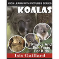 Koalas: Photos and Fun Facts for Kids