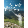 Angels By The Roadside: A Memoir