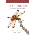 Dragonflies of North America