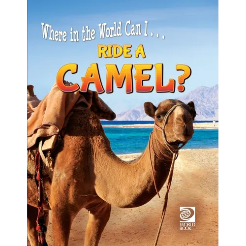 Ride a Camel?