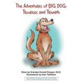 The Adventures of Big Dog: Troubles and Triumph