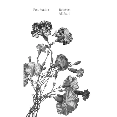 Peturbation: A Speculative History of Future(s) Past