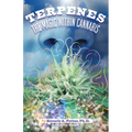 Terpenes: The Magic in Cannabis