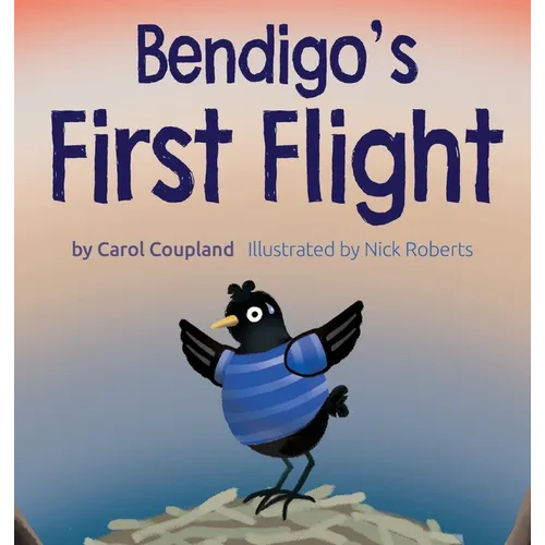 Bendigo's First Flight