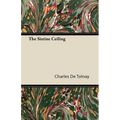 The Sistine Ceiling