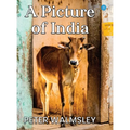 A Picture Of India