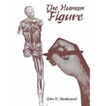 The Human Figure