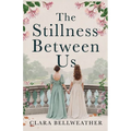 The Stillness Between Us
