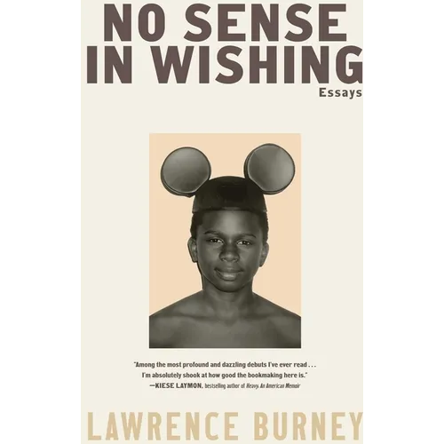 No Sense in Wishing: Essays
