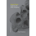 Figured Stones: Exploring the Lithic Imaginary