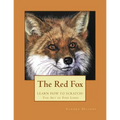 The Red Fox: Learn How to Scratch! The Art of Fine Lines