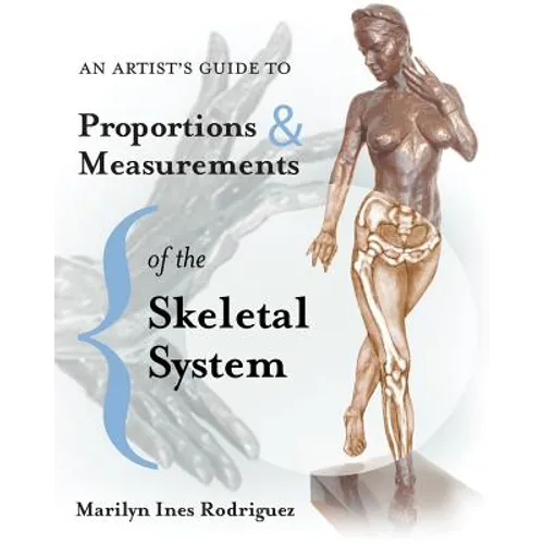 An Artist's Guide to Proportions & Measurements of the Skeletal System