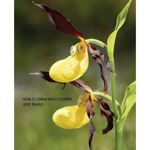 How to Draw Wild Flowers (Replica Edition)