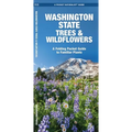 Washington State Trees & Wildflowers: A Folding Pocket Guide to Familiar Plants