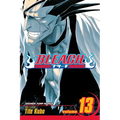 Bleach, Vol. 13: The Undead