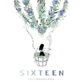 Sixteen: A Compilation of Poems