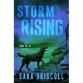 Storm Rising